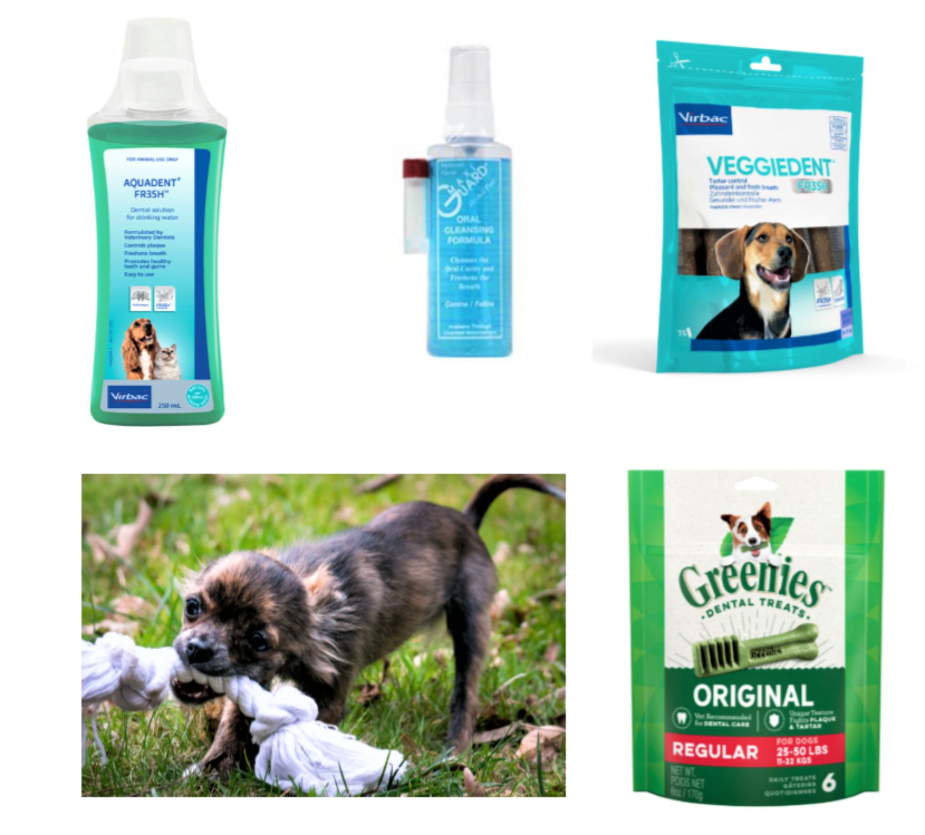 Do Greenies Really Clean Dogs Teeth